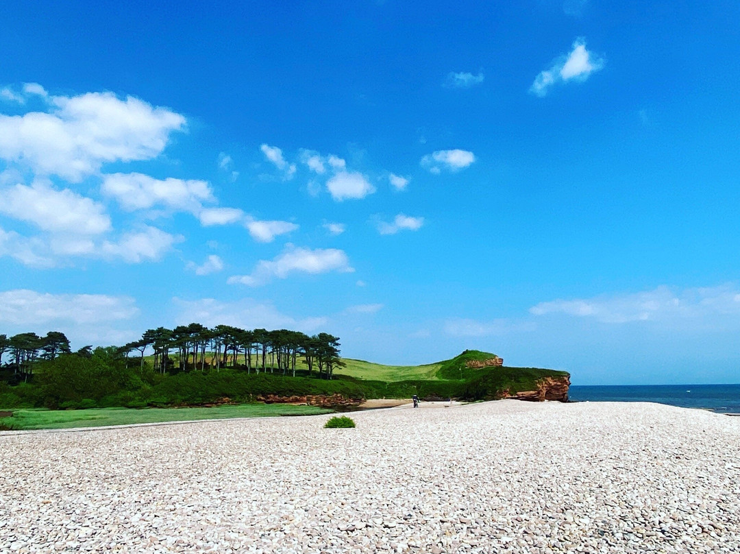 Budleigh Salterton Beach景点图片
