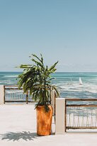 Passion Boutique Hotel Zanzibar主图