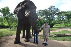 The Elephant Sanctuary-雾观必去景点