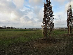 Parc de la Fosse Maussoin-Clichy-Sous-Bois必去景点