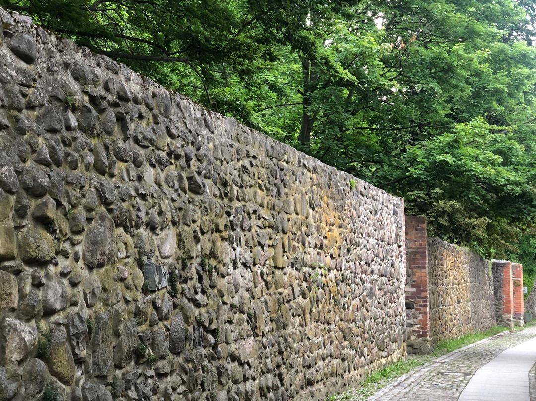 Bauhaus Denkmal Bundesschule Bernau景点图片