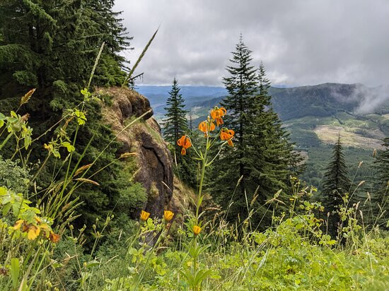 Saddle Mountain State Natural Area-锡赛德必去景点