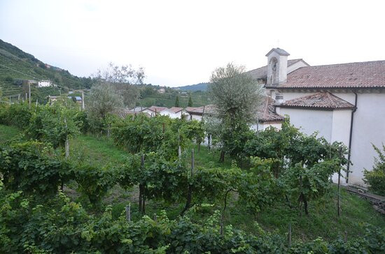 B&B Gastaldo di Rolle主图