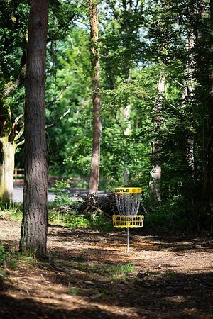 Gilly's Disc Golf景点图片