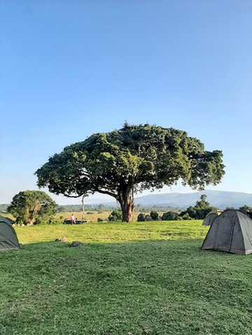 Sky View Adventure Tours & Safaris-阿鲁沙必去景点