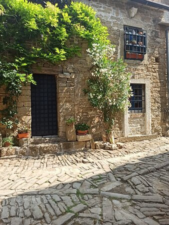 Hotel Gran Vista Plava Laguna主图