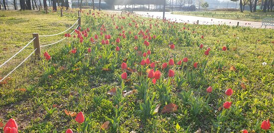 Nari Park-杨州市必去景点