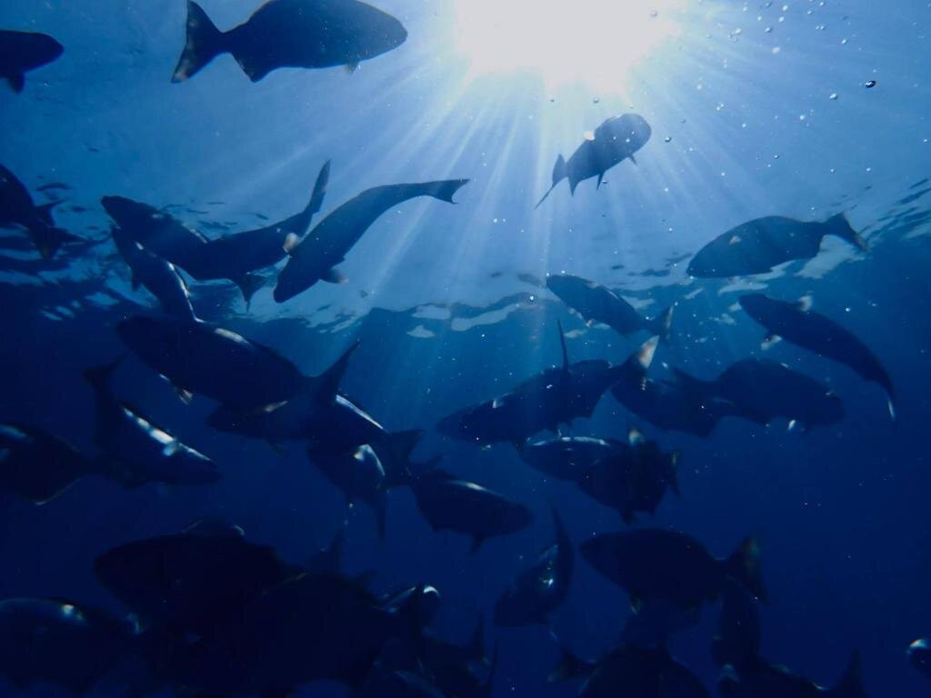 Wow Inn Keyodhoo主图