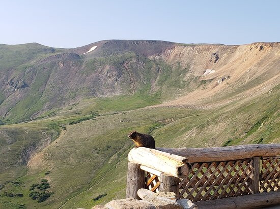 Alpine Visitor Center景点图片