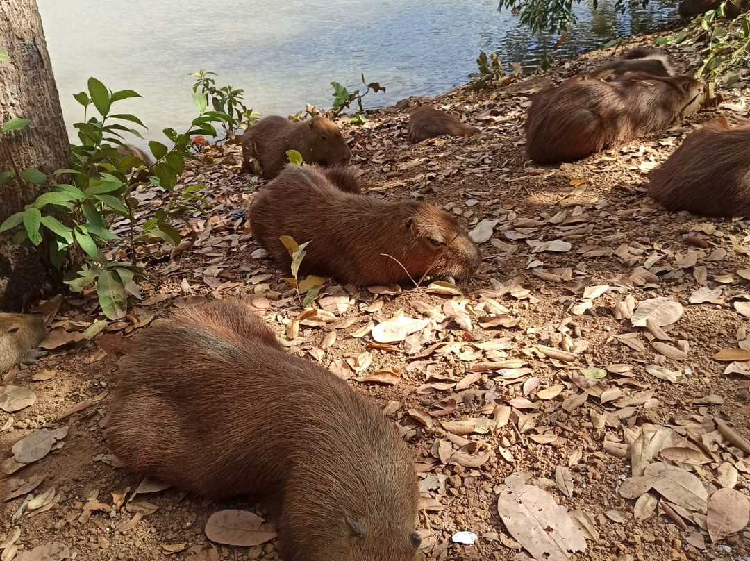 Cesamar Park-Palmas必去景点