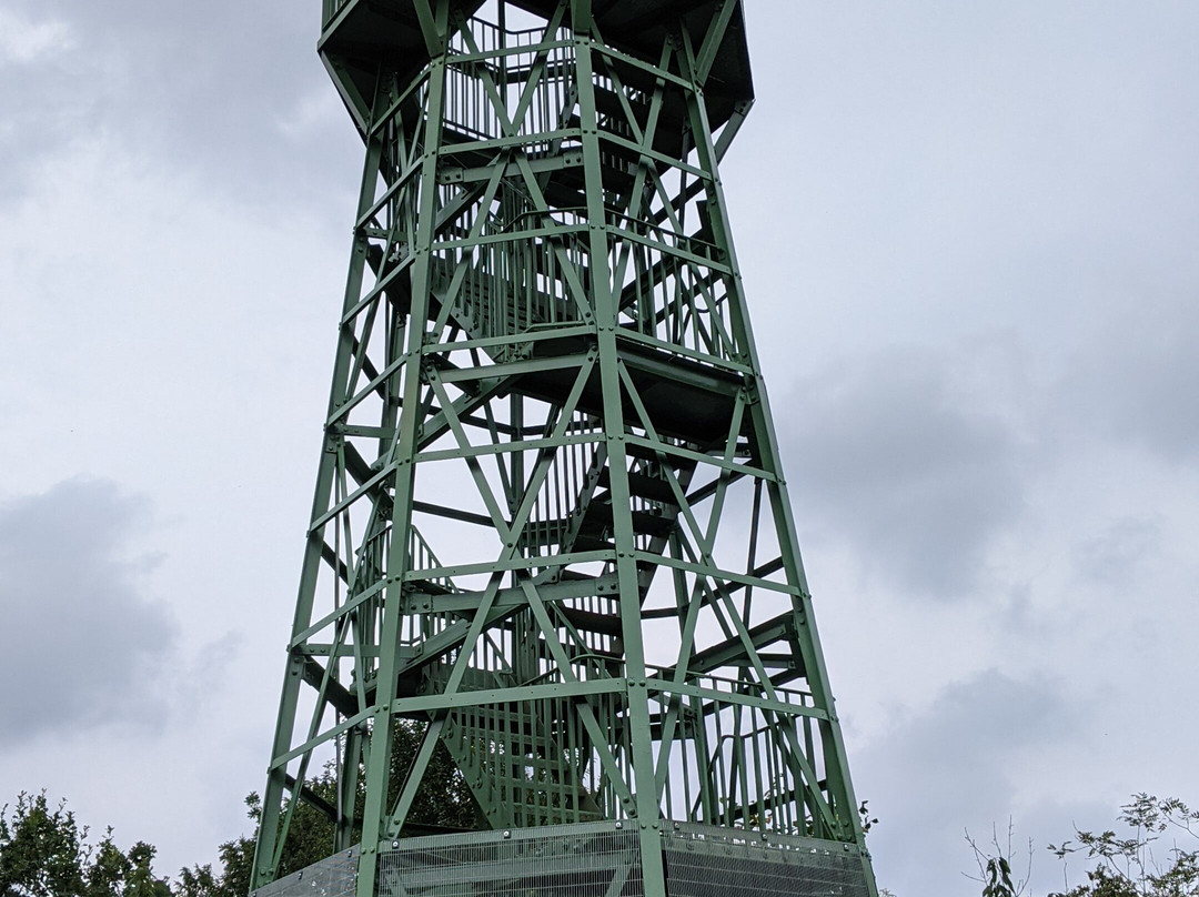 Cheddar Gorge Lookout Tower景点图片