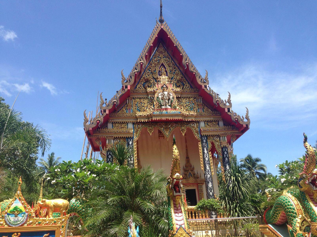 Wat Salak Phet Temple景点图片