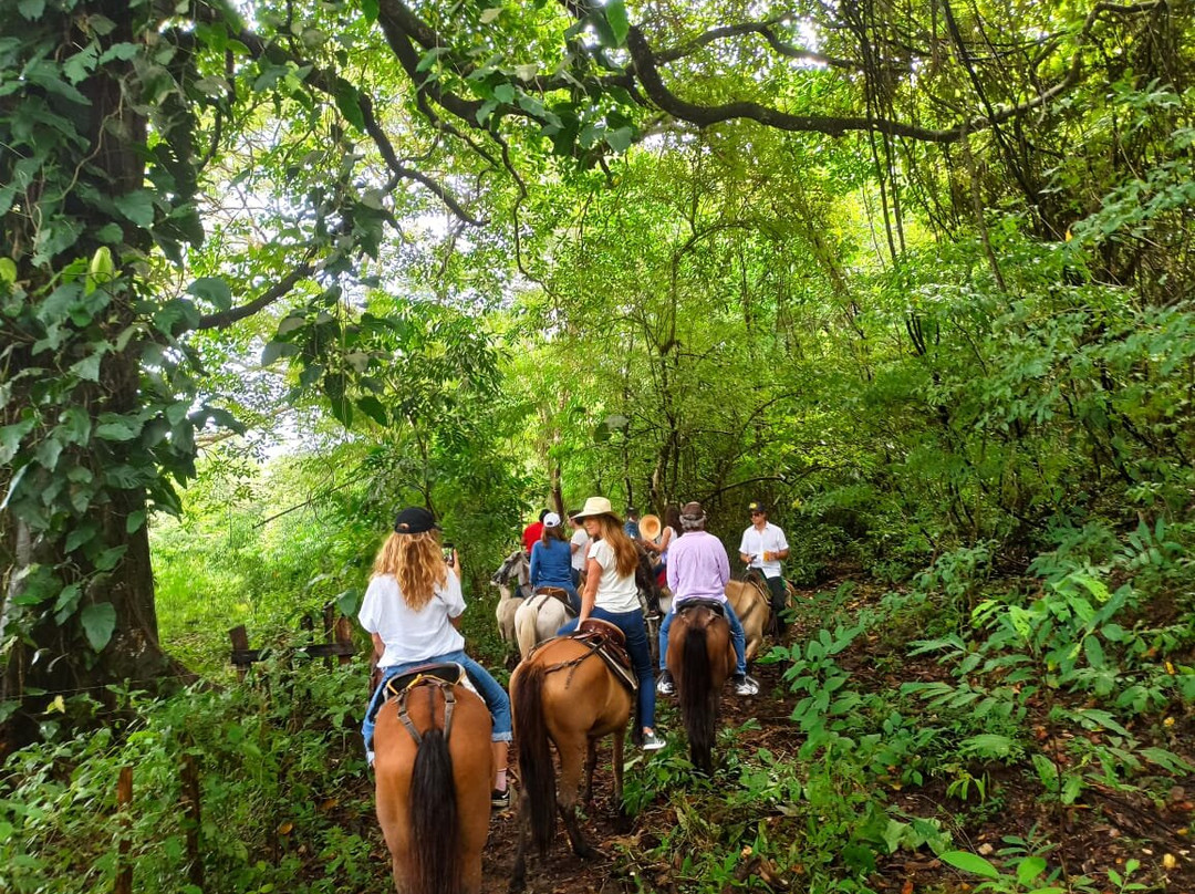 Cabalgatas En Palomino La Mello-帕洛米诺必去景点