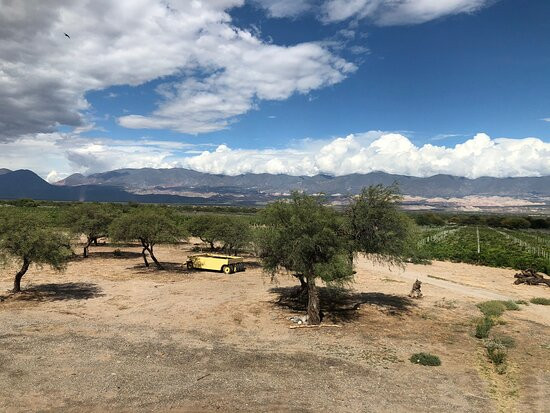 Las Arcas de Tolombon Vinedos & Bodega景点图片