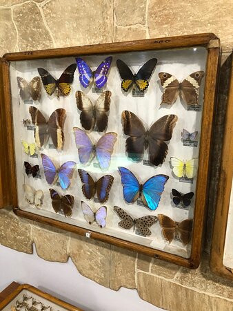 Nature Museum of The Kostroma Region景点图片