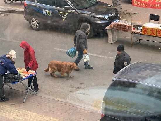 哈尔滨南岗智选假日酒店主图