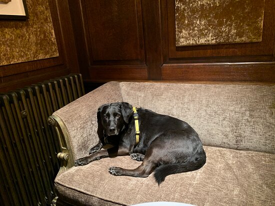 Wood Hall Hotel & Spa-餐饮