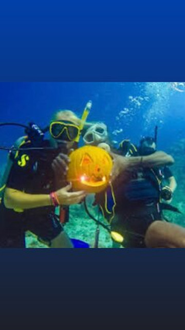 Buceo Valencia-La Pobla de Farnals必去景点