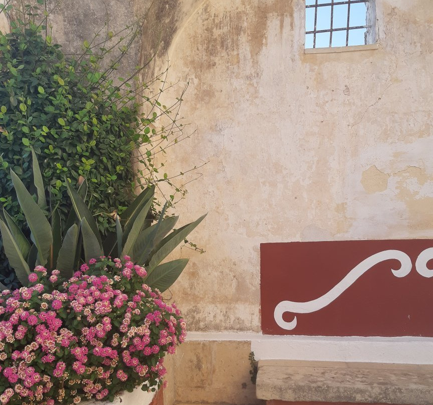 Masseria La Macchiola - Corti Del Mito主图