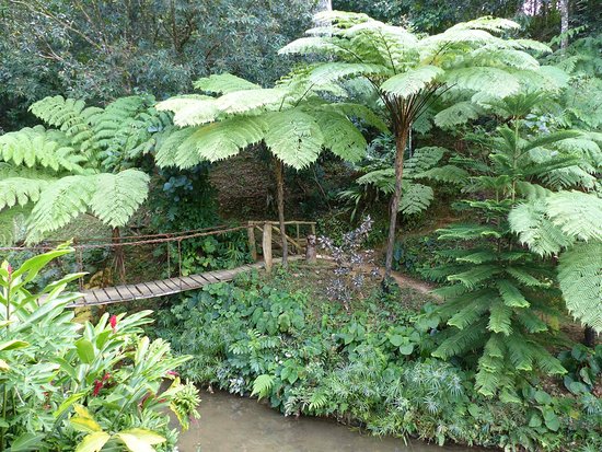 Ecoalojamiento El Manantial-浴室