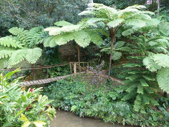 Ecoalojamiento El Manantial主图