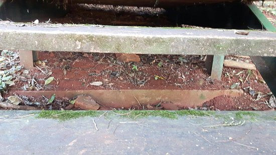 Sítio Arqueológico de São João Batista-Entre-Ijuis必去景点