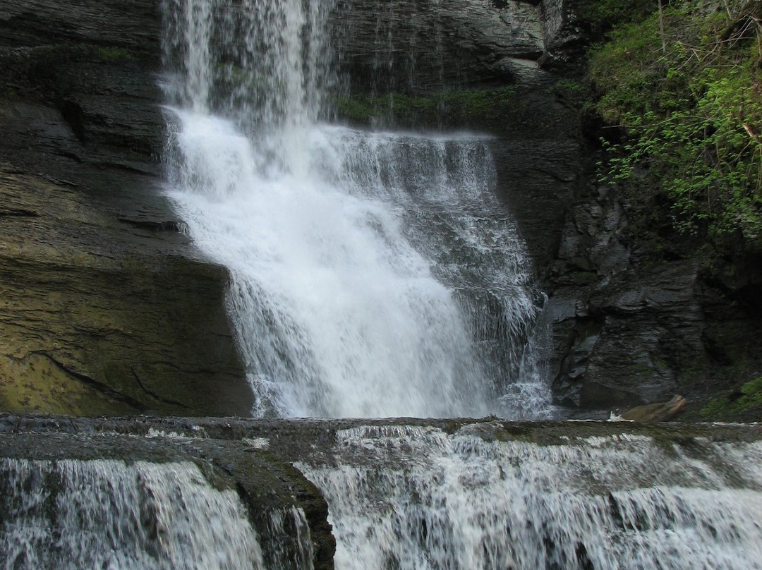 Skaneateles旅游攻略图片