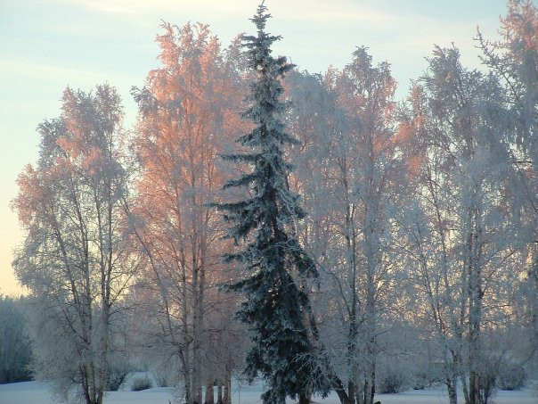 Fort Wainwright旅游攻略图片