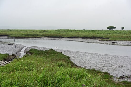 Kiritappu Wetland-滨中町必去景点