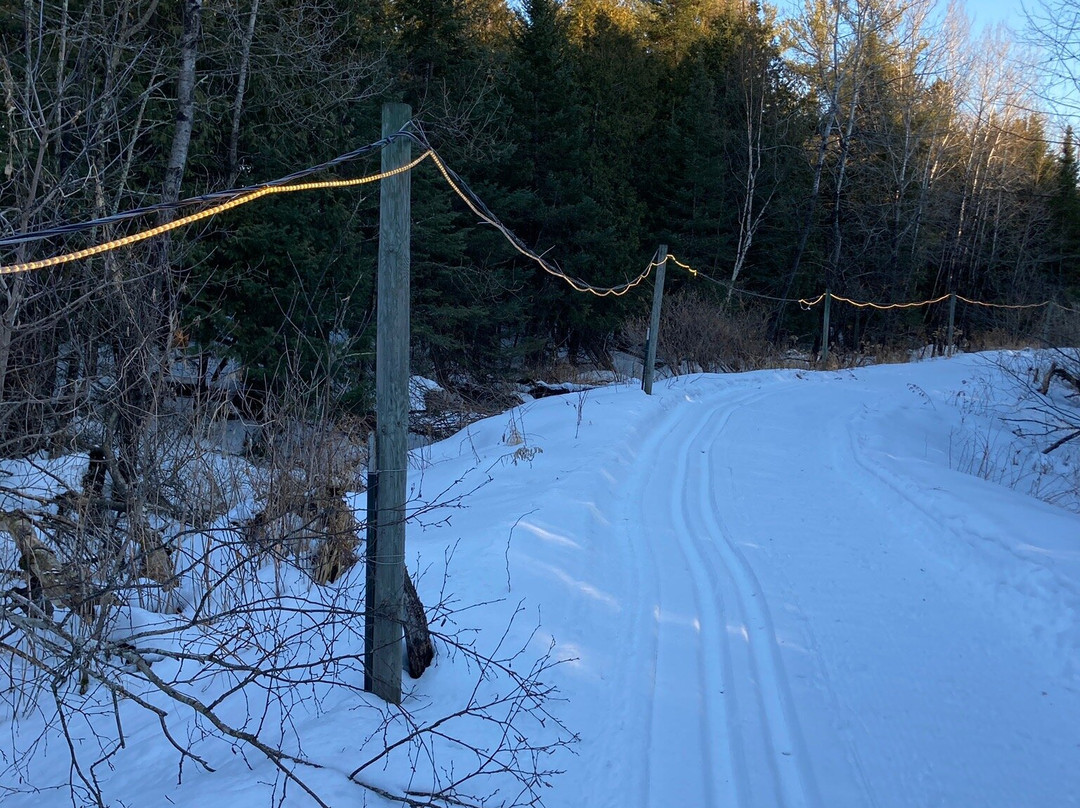 2023年11月Brantwood旅游景点攻略Brantwood旅游住宿,Brantwood旅游美食猫途鹰