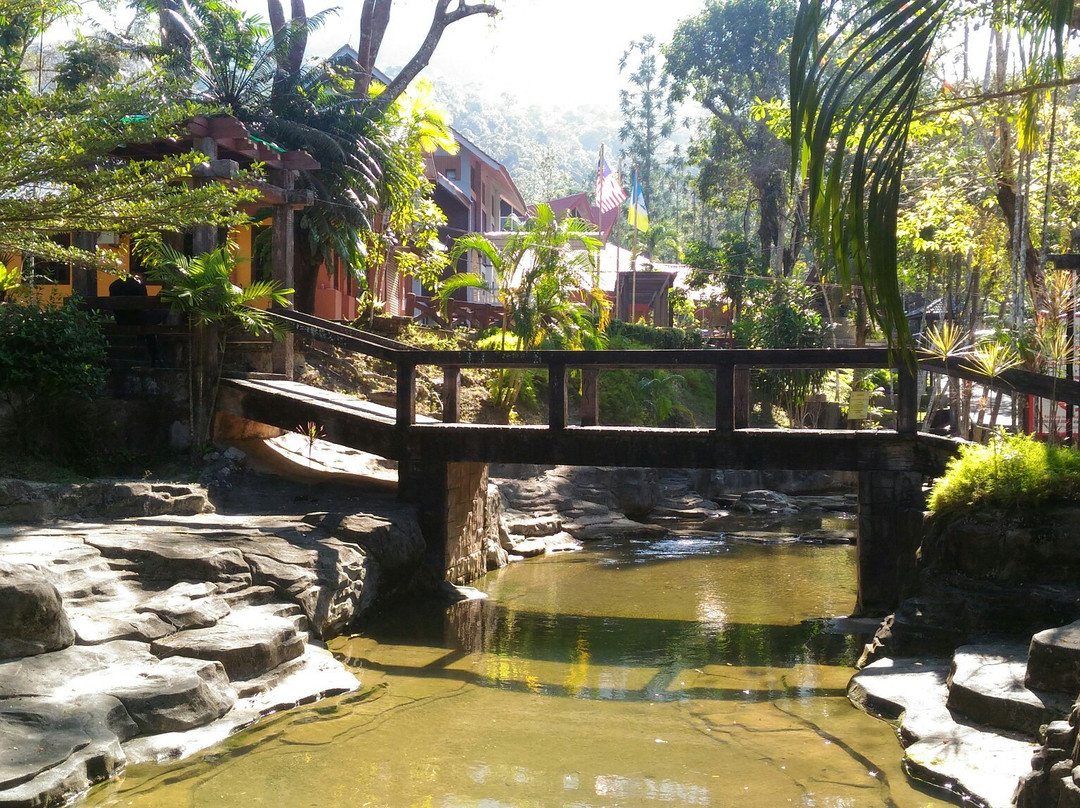 丹容武雅旅游景点-Teluk Bahang Forest Eco Park