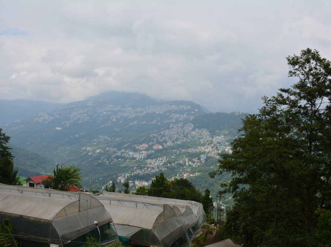 Rumtek旅游景点-Shanti View Point