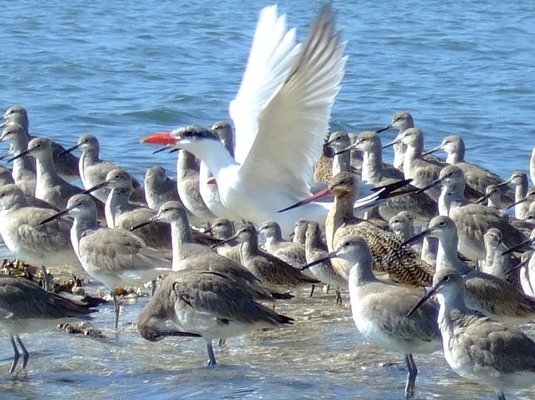 Clam Bayou Nature Park