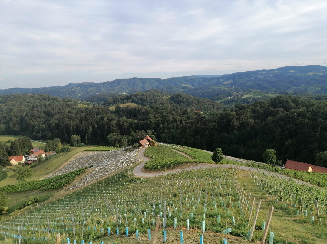 Šerbinek Winery & the Heart-Shaped Wine Road景点图片