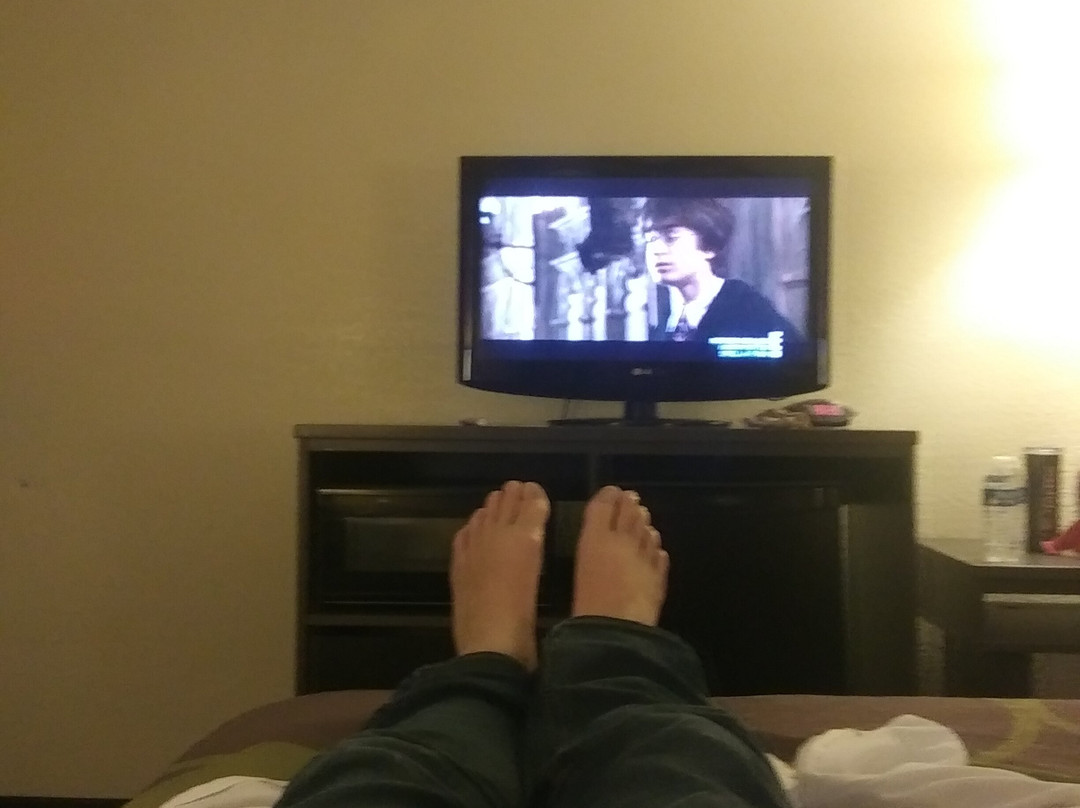 Super 8 by Wyndham Seguin主图