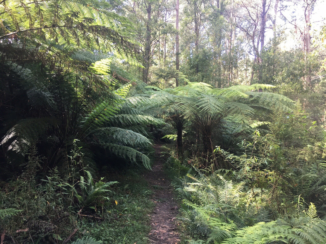 Kurth Kiln Regional Park-Gembrook必去景点