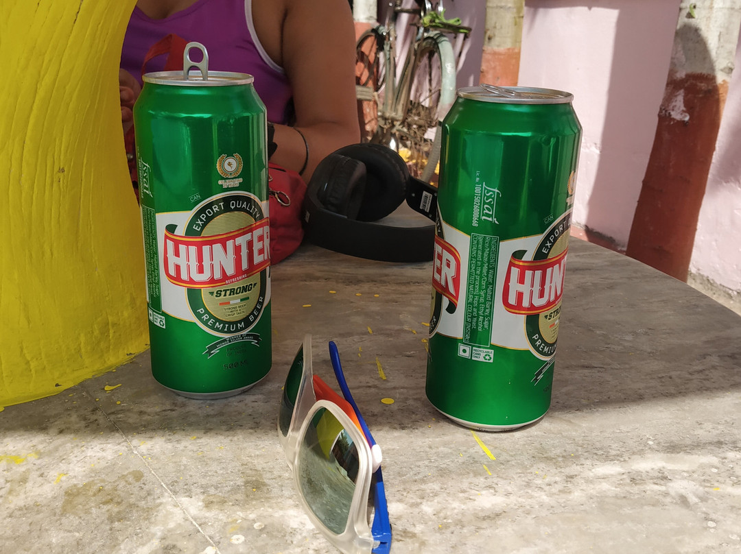 Rajhans Hotel & Resort主图