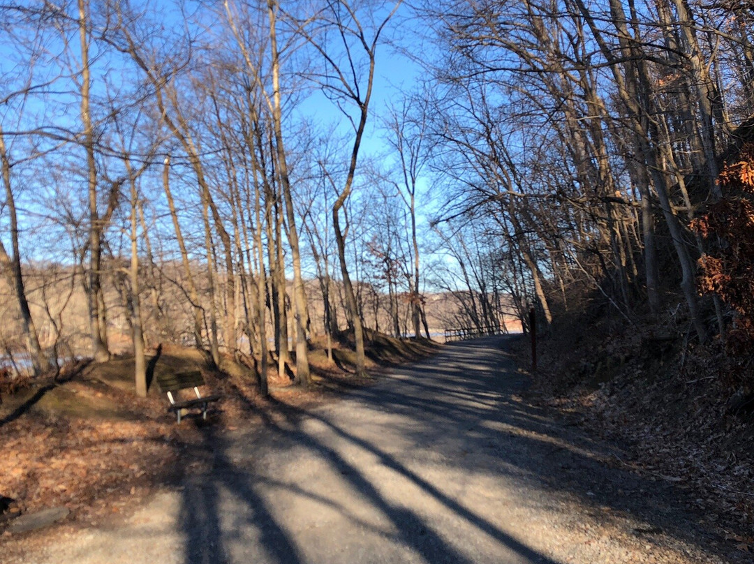 Cheat Lake Trail景点图片