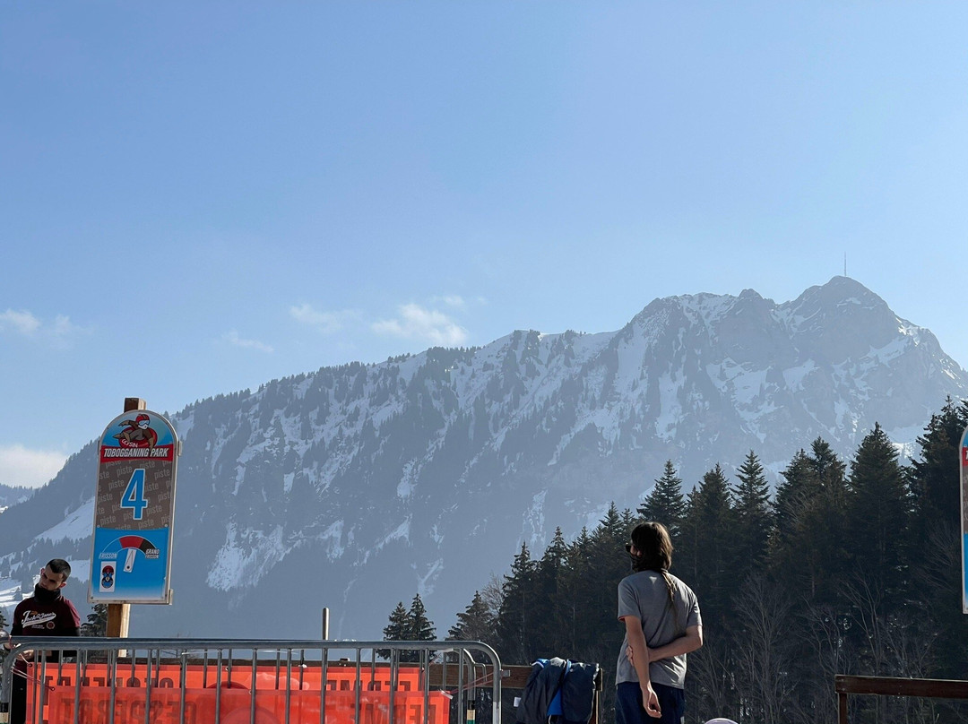 Tobogganing Park-莱森必去景点