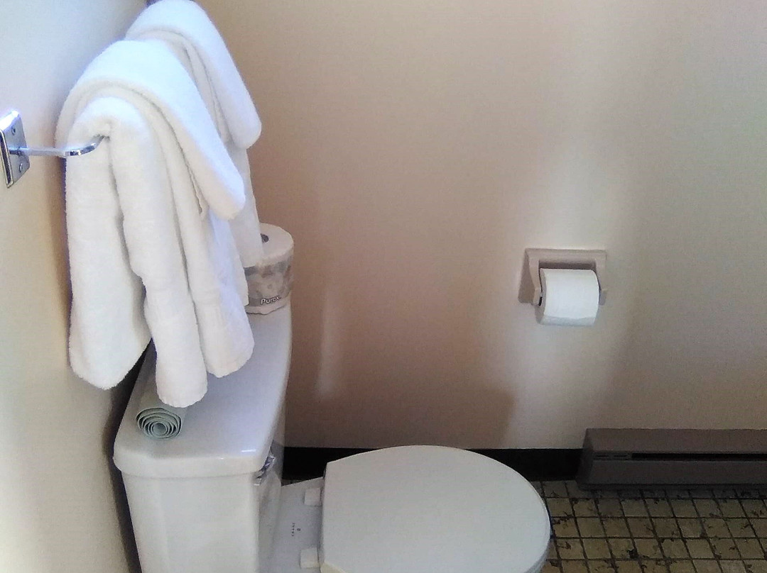 Rodeway Inn Gaspé主图