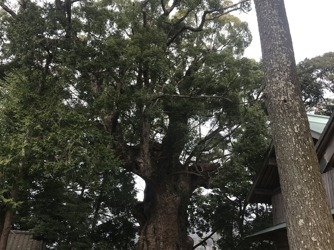 Sugihokowake no Mikoto Shrine (Kawazu Kinomiya Shrine)景点图片
