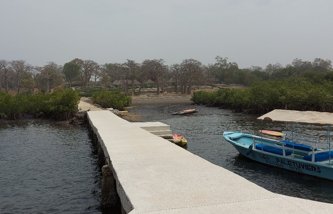 Les Paletuviers Boutique Hotel主图