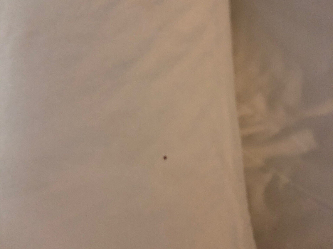 Holiday Inn Express & Suites Chaffee-jacksonville West By IHG主图