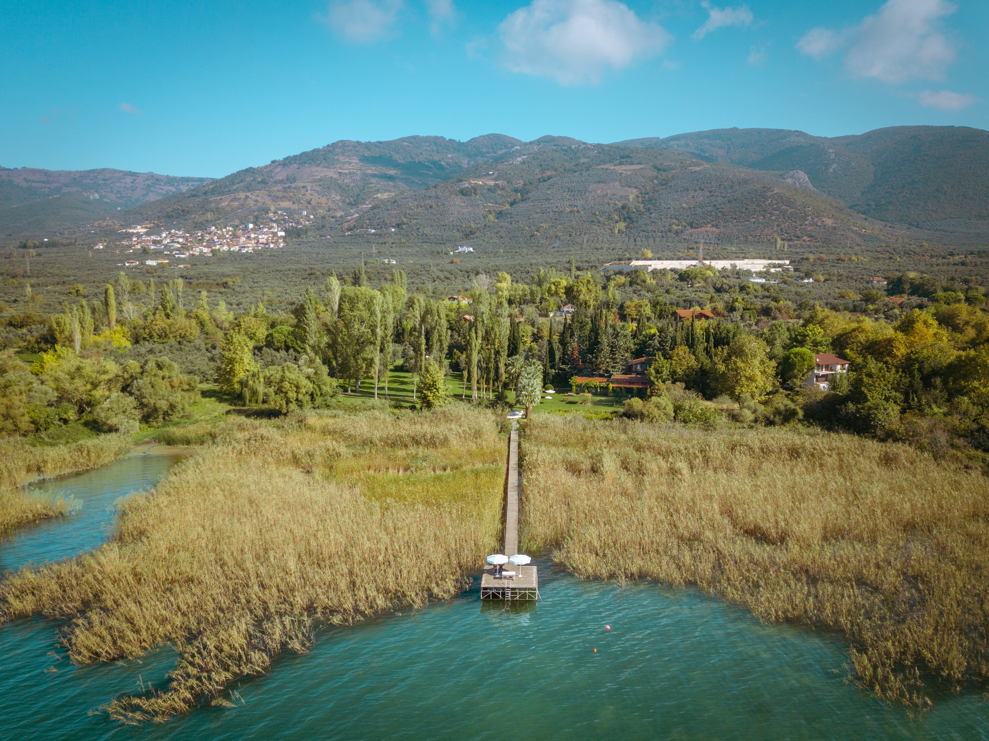 The Lake House-官方