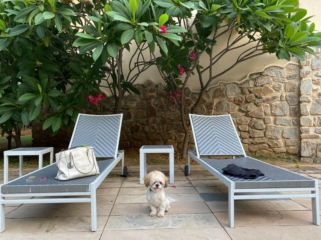 The Kipling Lodge - Nature Kalp, Ranthambore主图