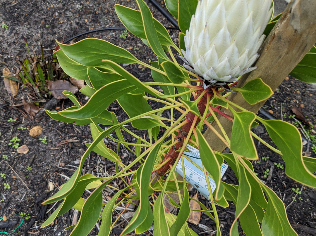 艾斯汽车旅馆主图