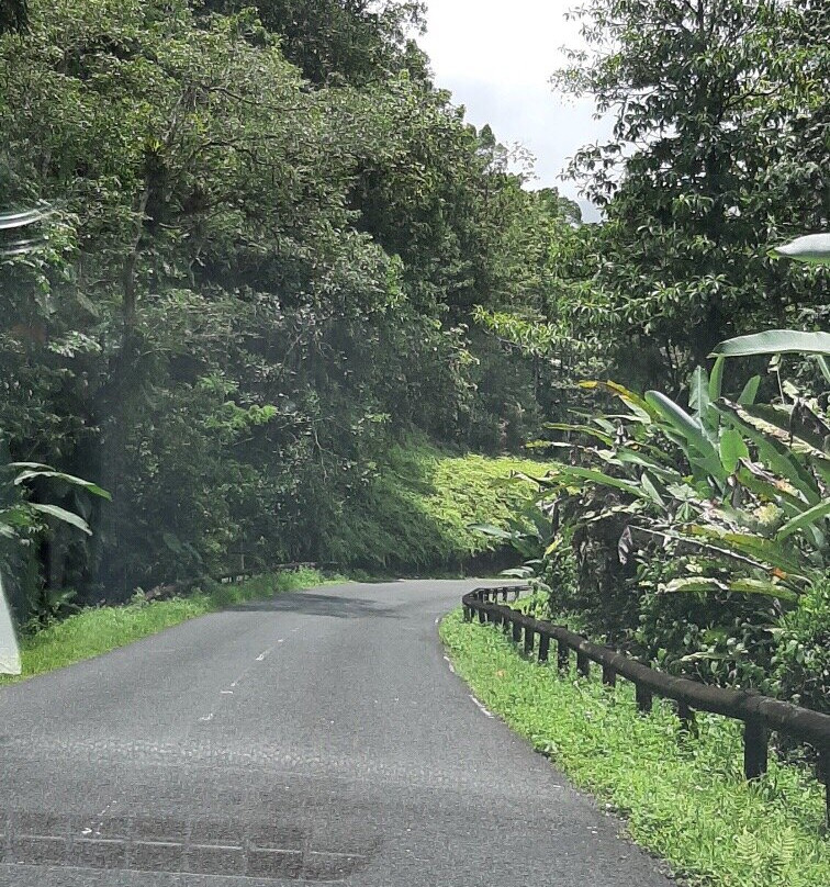 Route de la Traversee-Parc National必去景点