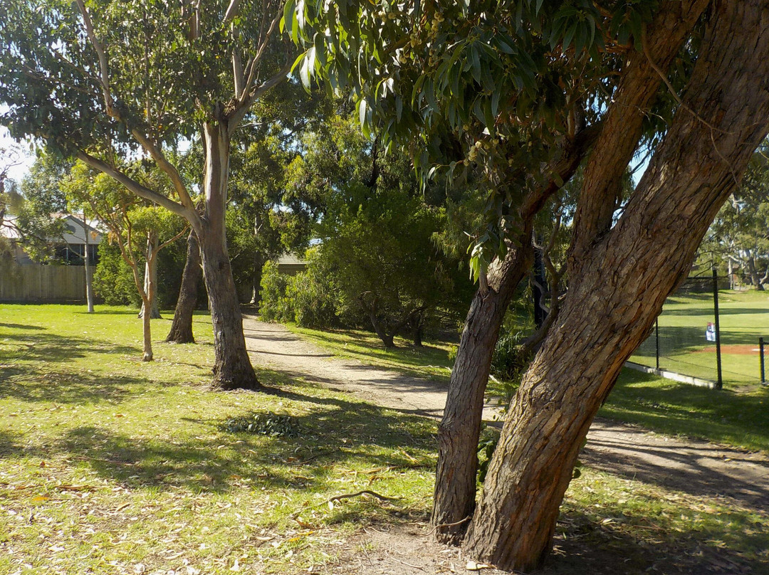 Tjilatjirrin Reserve-Sandringham必去景点