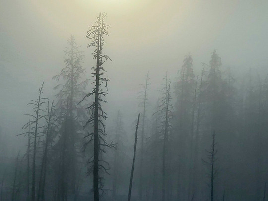 KAR Safaris-西黄石镇必去景点