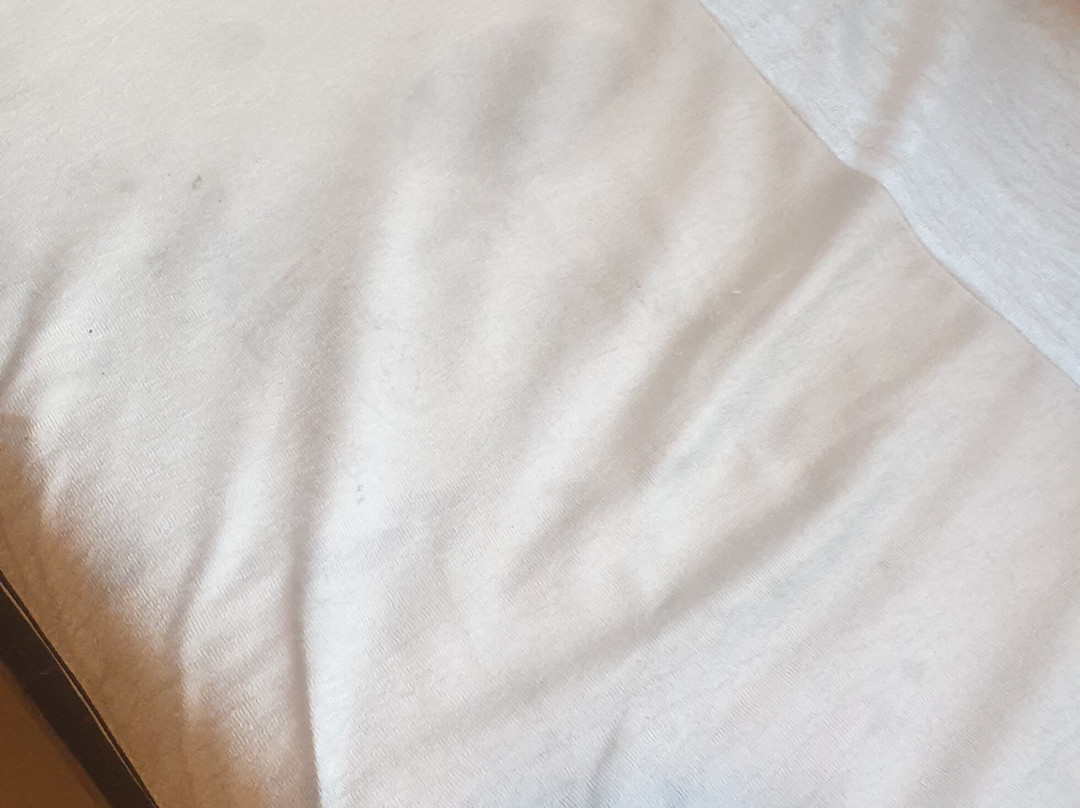 Hotel Vaishnavi主图